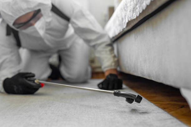 Professional Ant Control technician working in Knoxville, IL
