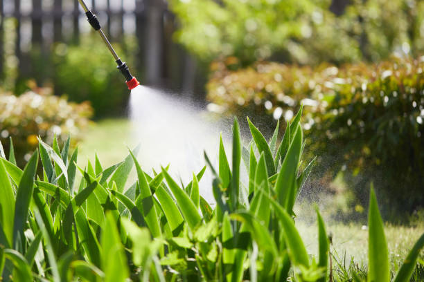 24/7 Emergency Ant Control experts in Knoxville, IL
